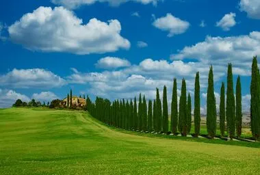 마이리얼트립 10 마이리얼트립 살펴보기 7