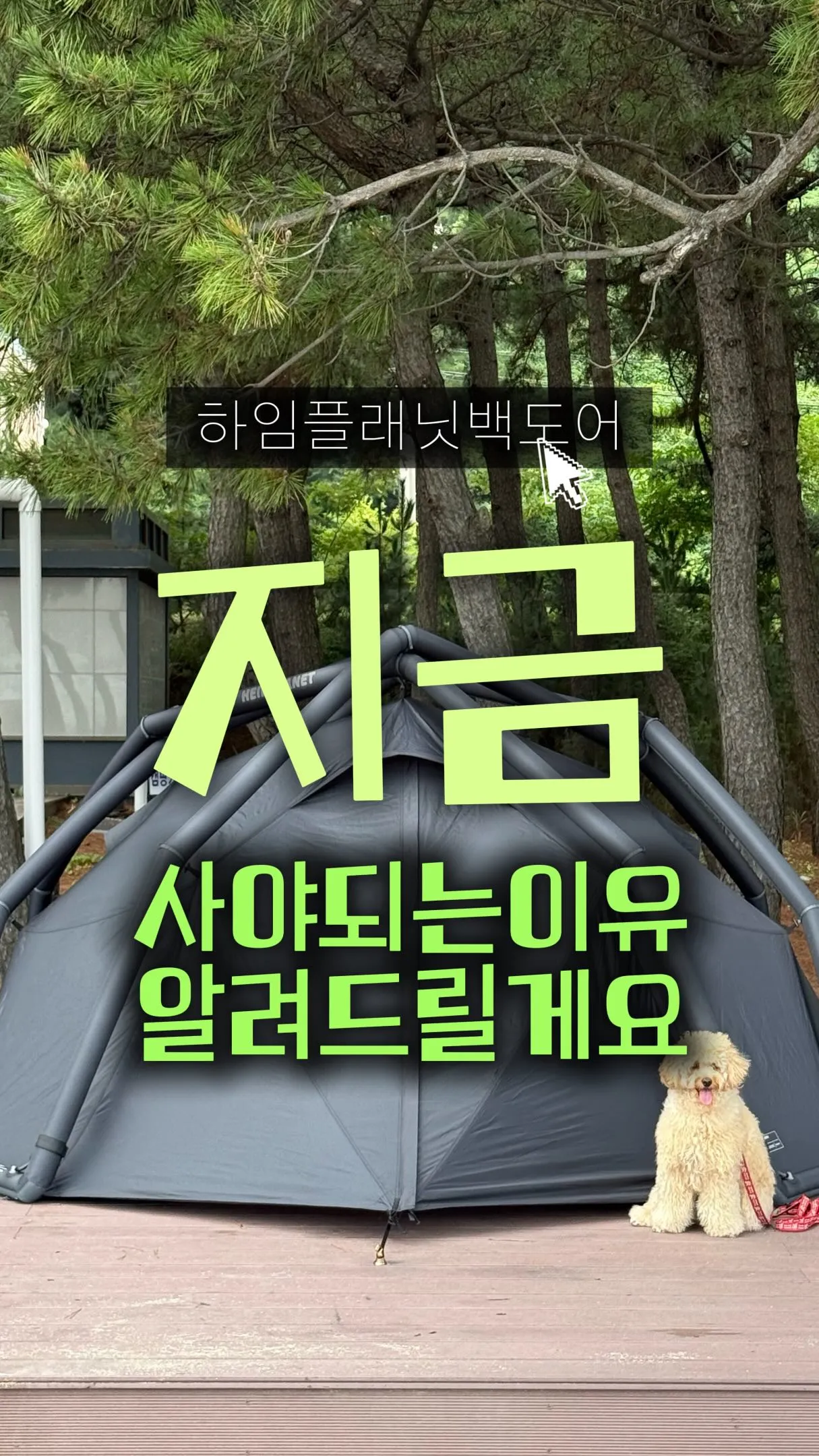 7942캠프 9 7942캠프 살펴보기 6